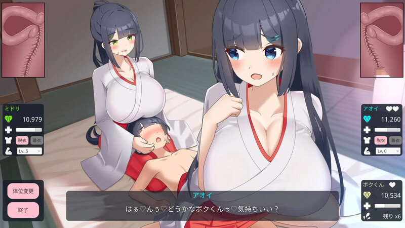 图片[2]-【养成SLG/触摸抚摸/后宫/动态/PC】双子巫女Ver1.02 【2G】-破次元